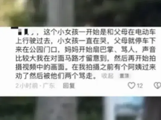 女孩路边啼哭不止后续，年轻父母暴力混合双打，评论区网友炸锅了