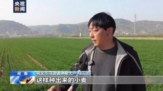 濮阳范县河洛镇种粮大户马元志：水肥一体化滴灌技术