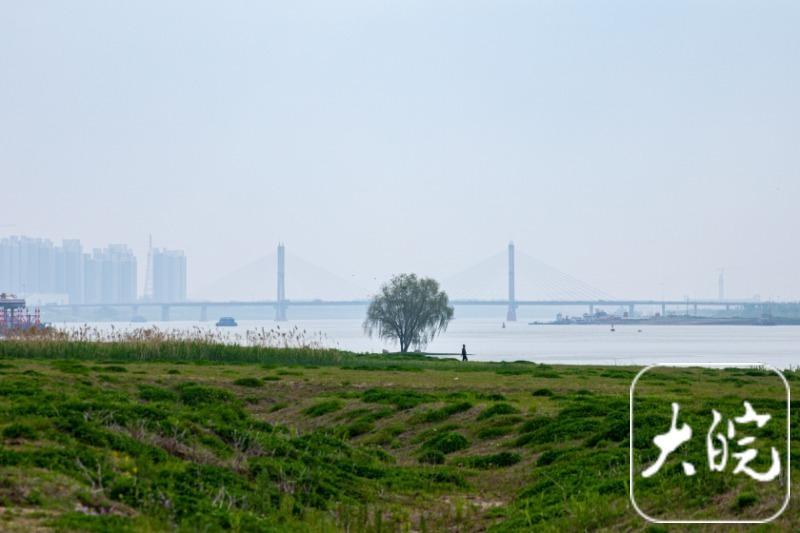 春游江淮请您来 | 在蚌埠：亲近淮河水，坐赏淮河景