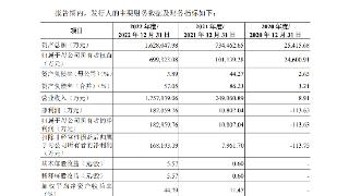 营收暴增近20万倍！高景太阳能高估值下风险暗存