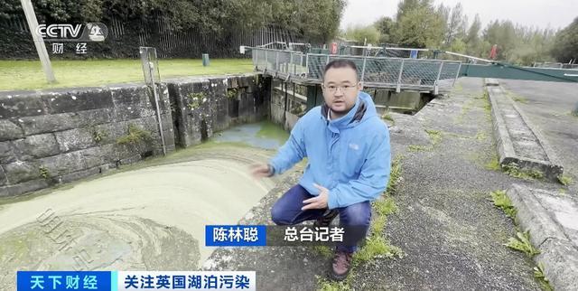 重要淡水湖泊，惊现“紧急污染事件”！“刺鼻的恶臭”