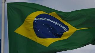 俄大使：西方试图迫使巴西加入制裁行列