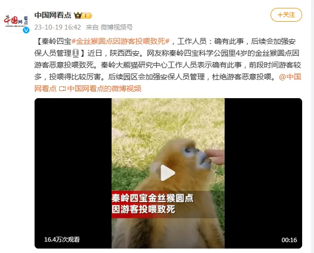 ​陕西一金丝猴因游客恶意投喂致死？工作人员：确有此事