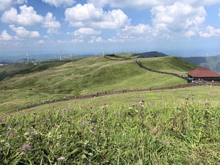 阿西里西韭菜坪：避暑度假旅游潮 带活小山村