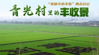 “我眼中的丰收”蹲点日记丨青光村里的“丰收景”