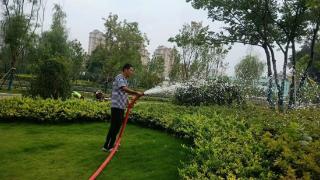 临沂市城管局园林环卫中心青龙河管理办公室崔雨雨：退伍不褪色 岗位践初心