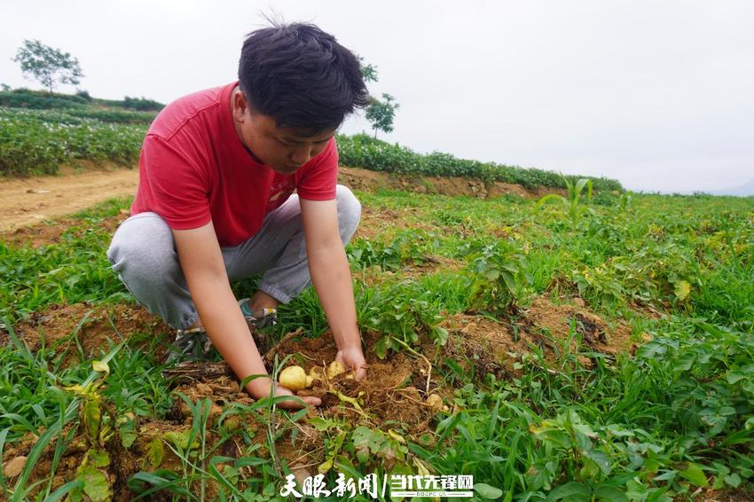 【高质量发展蹲点调研采访】毕节市龙凤村科技小院：向下“扎根”服务基层农民 向上“开花”助力乡村振兴