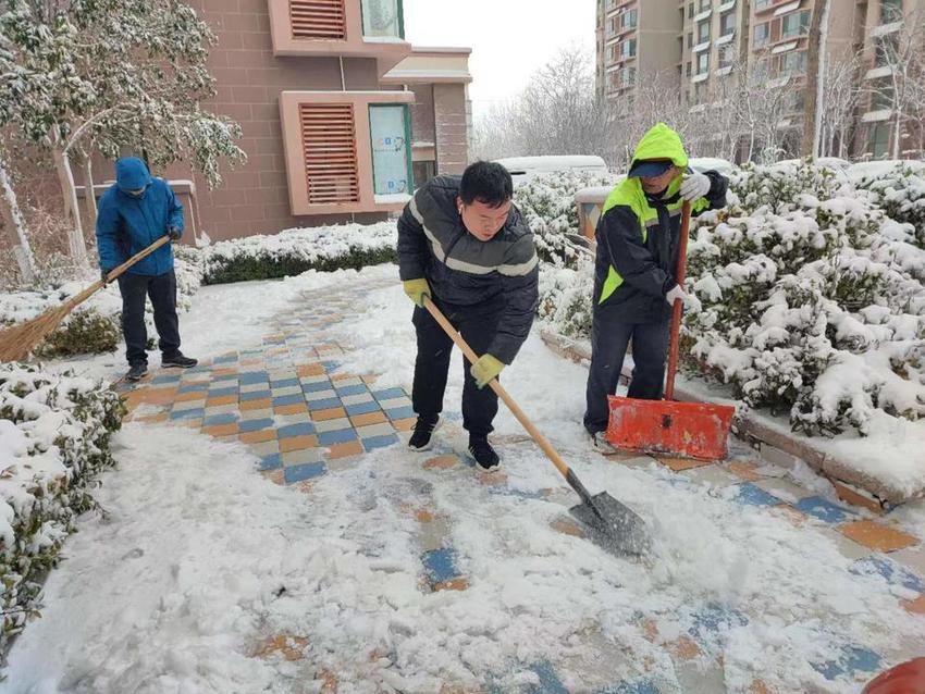 东凯社区花样除雪，为居民出行提供一站式服务