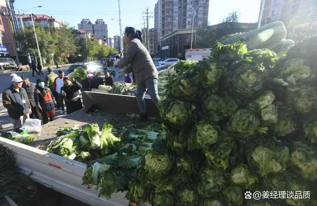 在东北体验传统囤秋菜：沉浸式围观与文化探索