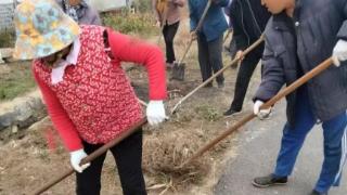 【乡村振兴】济南市莱芜区寨里镇涝坡村：环境整治再发力 村容村貌展新颜