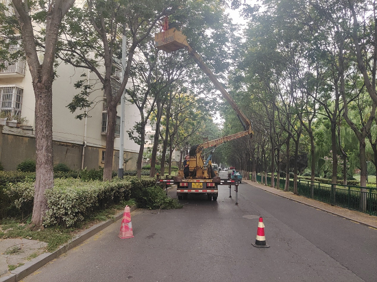 临沂市城管局园林环卫保障服务中心陷泥河管理办：修剪树木惠民生，保民出行添安全