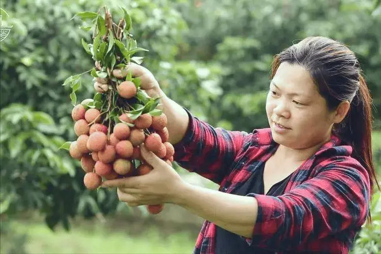 这四种高糖水果比糖还可怕，很多人以为能减肥，医生：别记错了！