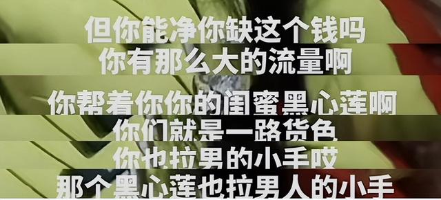 于文红向伊能静道歉，将以小米粒名义，向哈利基金会捐101w