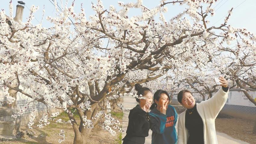 春暖花开 醉美江淮