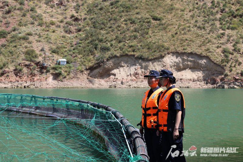 新疆冰鲜三文鱼首次出口