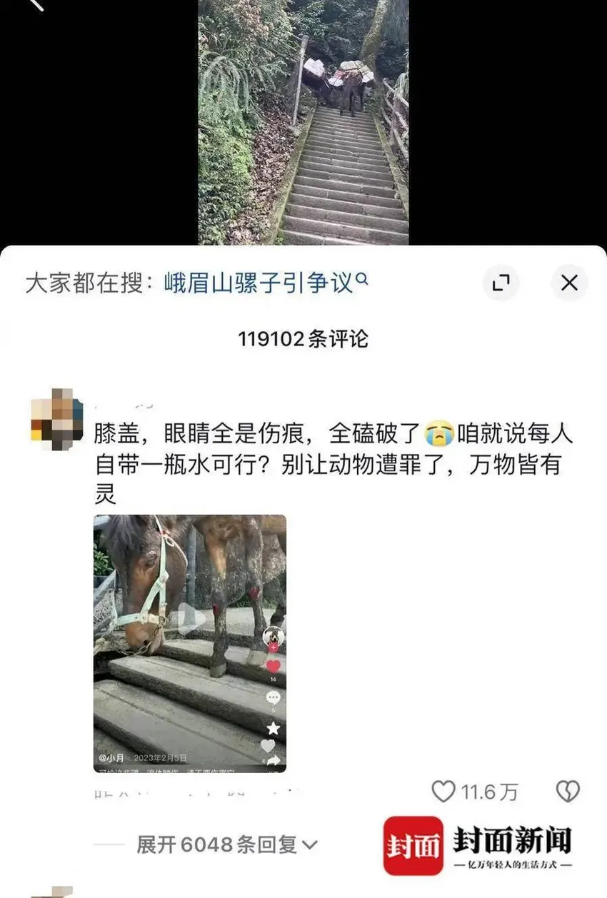 峨眉山景区有骡子负重爬山？景区：村民饲养的家畜，网传负重受伤图片不实