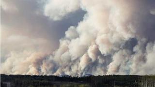 山火频发！加拿大蒙特利尔被烧成“全球空气最差”城市