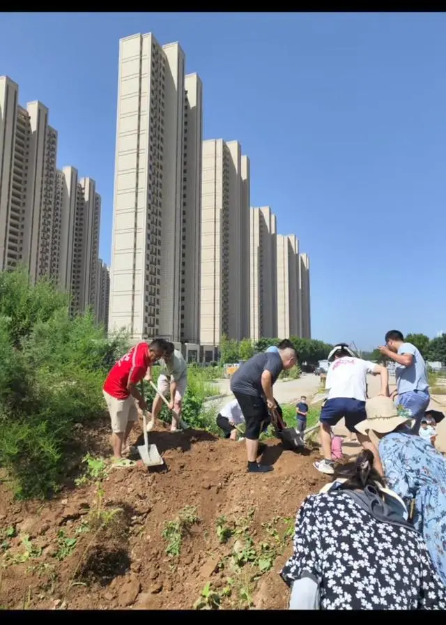 门前“断头路”迟迟未打通，陕西一小区业主自发修路 管委会：争取尽快修路解决居民出行难