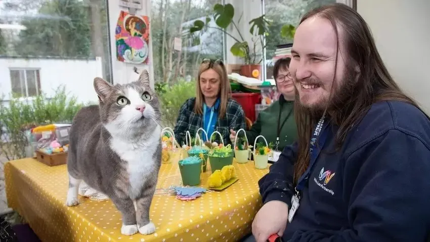 奶牛猫会帮听障主人取邮件，还提醒她接电话！猫猫队也能立大功！