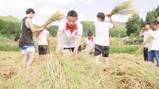 印江中学生“田间课堂”学农事