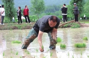 勤耕稻田 以期丰年