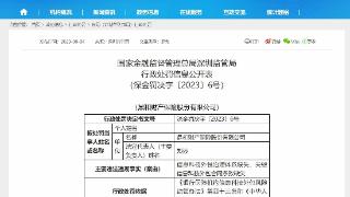 因信息科技外包治理体系缺失等，鼎和财险合计被罚13万元