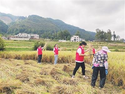 贵州大学志愿者到龙里县助农秋收