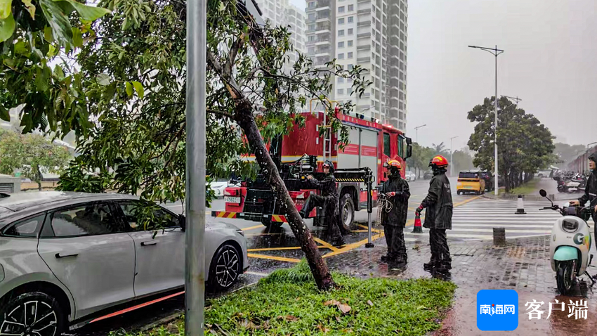 台风“苏力”致树木倾倒阻碍交通 三亚消防部门紧急处置