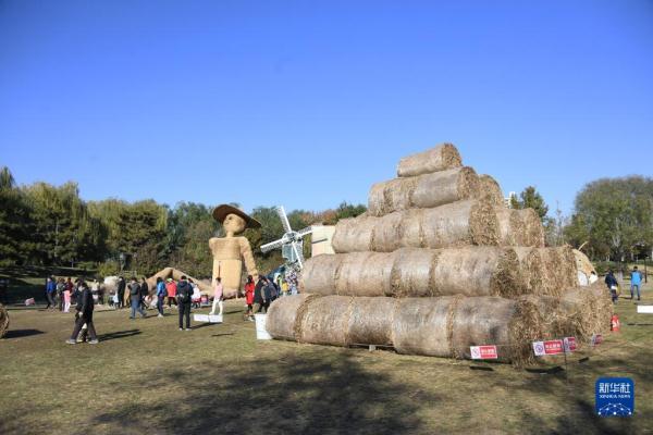 北京“巨型稻草人艺术王国”吸引游客游玩