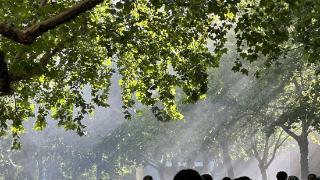 寻找山东最美大学校园|财大东方学院夏一曦：不啻微芒，造炬成阳