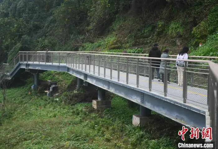 重庆：“悬空”步道打造市民慢行交通系统 成休闲观光打卡地