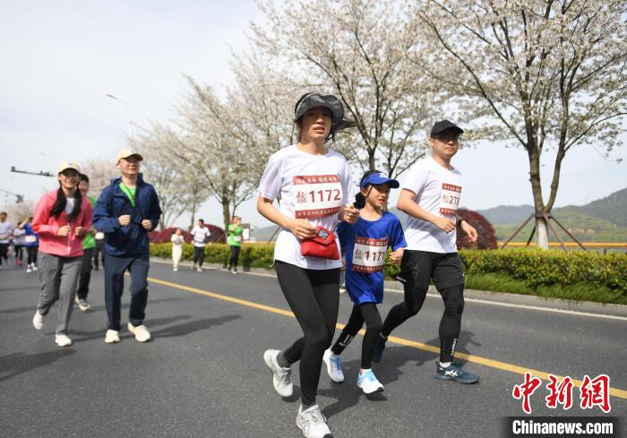 浙江杭州举办春日“樱花跑” 千名跑友感受13.14公里的浪漫