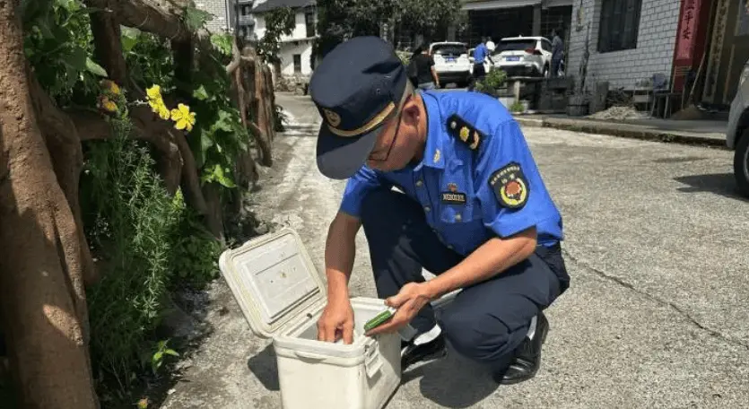 猕猴闯进村民家吃掉100多鸡蛋，没有左手臂