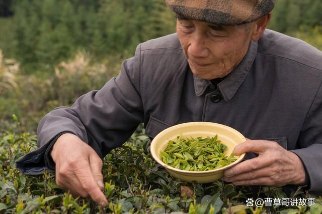 儿子有钱女儿穷，半碗红烧肉让七旬老人明白，去女儿家养老才享福