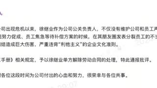 极越公关负责人徐继业被开除！曾骂自家员工是苍蝇引争议