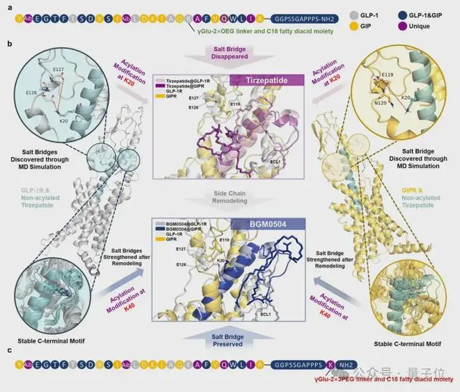 AI辅助糖尿病药物开发，效果提升3倍，中国团队研究登Nature子刊