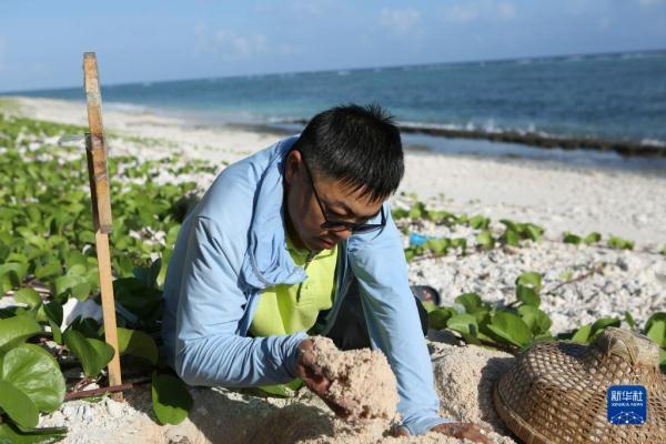 黄宏波：守护北岛海龟之路