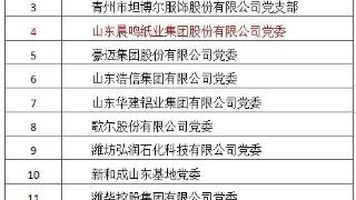晨鸣集团党委入选潍坊“百名时代先锋”名单
