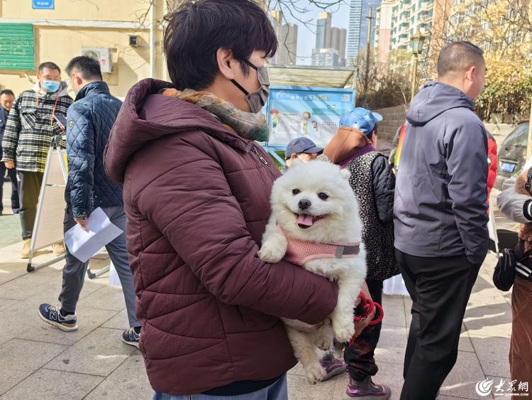 牵好“文明绳” 做文明养犬人，青岛市倡导文明养犬活动启动