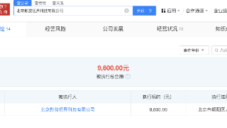 王濛前经纪公司成被执行人 执行标的9600元