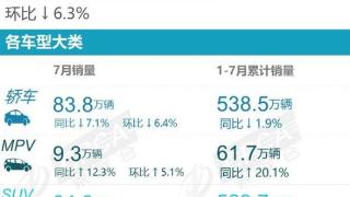 “数”说车市丨7月汽车厂商销量排名出炉 自主品牌市占率超5成