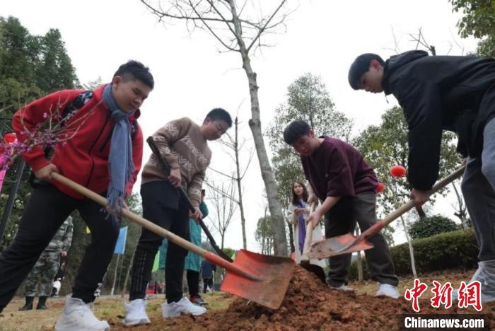 江西去年植树造林379.7万亩 全省各界掀起全民植绿热潮