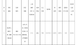 取消最高限价！合肥1宗住宅地对参拍房企有新规定