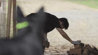 《驻站》的基层民警用行动诠释：中国农村扶贫事业为何能大获成功