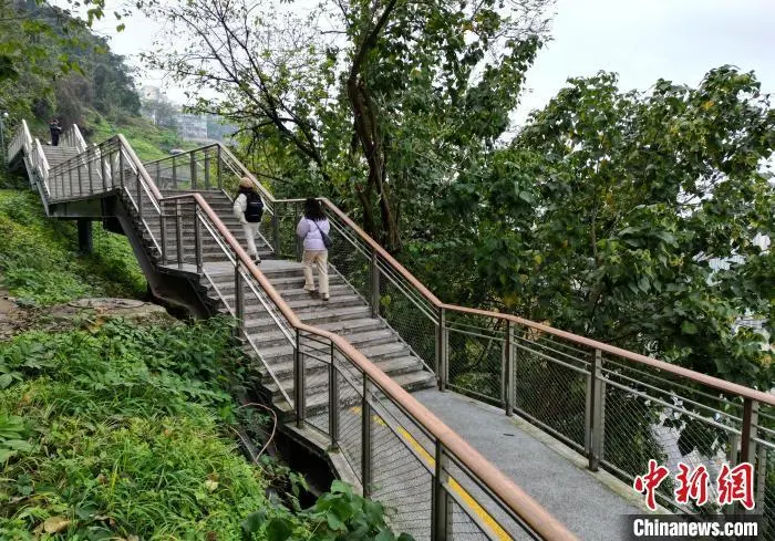 重庆：“悬空”步道打造市民慢行交通系统 成休闲观光打卡地