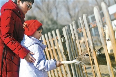 大年初六，京郊大集民俗新体验文旅年味浓