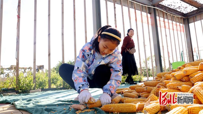 组图｜唐山市路北区：丰收季亲子游园嘉年华