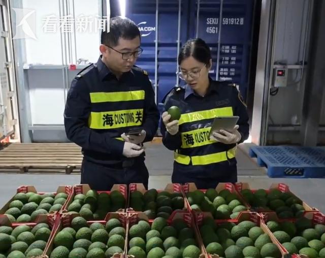 中非经贸合作新成果 南非牛油果将首次亮相进博会