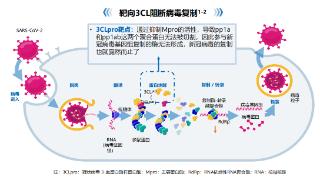 新冠与甲流共同流行，专家：接种流感疫苗，感染后尽早抗病毒