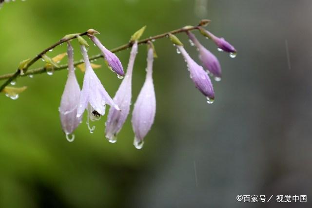 生活中，做人做事要无愧于心，不要亏欠他人